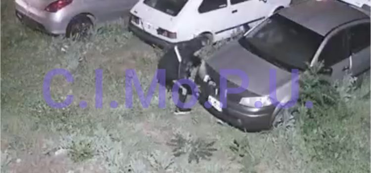Aprehenden a intruso dentro del Depósito Municipal de Vehículos secuestrados