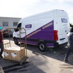 Avanza la recuperación de caballos sueltos en la vía pública