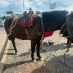 Invitan a participar de una charla sobre lactancia y cuidados del recién nacido